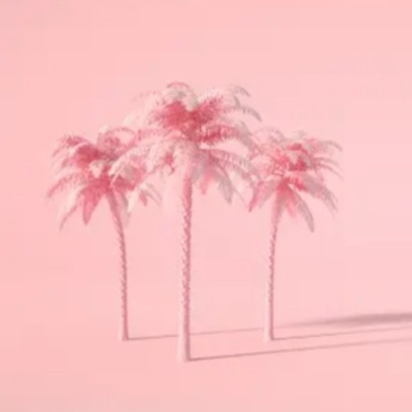 Zara x Barbie the Movie top - Picture 7 of 8